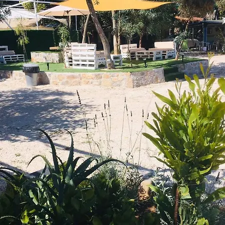 Lüks kamp alanı Camping Assini Beach Drepano (Argolis)
