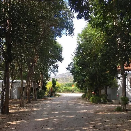 Camping Assini Beach Lüks kamp alanı Drepano (Argolis)